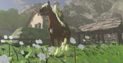 Breath of the Wild Horse (Registered) Epona (Link's House)