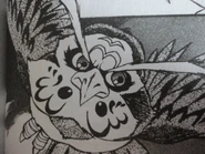 Kaepora Geabora dans le manga