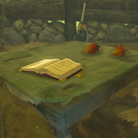 The Old Man S Diary Zeldapedia Fandom