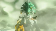 Tears of the Kingdom