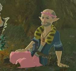 Sérasieh BotW