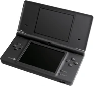 The Nintendo DSi