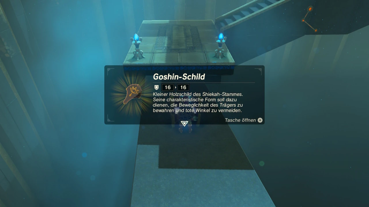 Goshin-Schild | Zeldapedia | Fandom, image size:1280x720