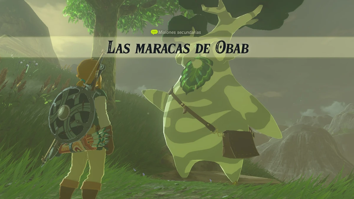 Las maracas de Obab The Legend of Zelda Wiki Fandom