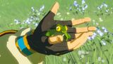 Zelda tenant une grenouille tempo dans ses mains, dans Breath of the Wild