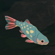 055（055） 055（055） 潜行鳟鱼