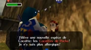 Link reçoit l’œuf d'Anju