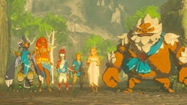 Elegidos BOTW