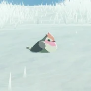 031（031） 031（031） 红雀