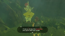 BOTWChioKorokTrials