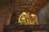 Deux Gorons en pleine discussion (Twilight Princess)