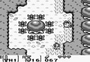 Tarkin sous sa forme de raton laveur.