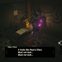 Paya S Diary Zeldapedia Fandom