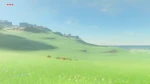 Llanura de Akkala este BotW