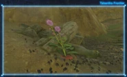 Camera Rune picture of a Big Hearty Radish growing at the foot of Nero Hill in the Tabantha Frontier region