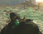 Breath of the Wild Hinox (Sleeping) Black Hinox (Gut Check Rock).png (444 KB) Link crouched atop a sleeping Black Hinox at Gut Check Rock