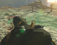 Link crouched atop a sleeping Black Hinox in Gut Check Rock in Breath of the Wild