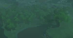 BotW-Bosque Finras