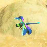 071（071） 071（071） 冰冷蜻蜓