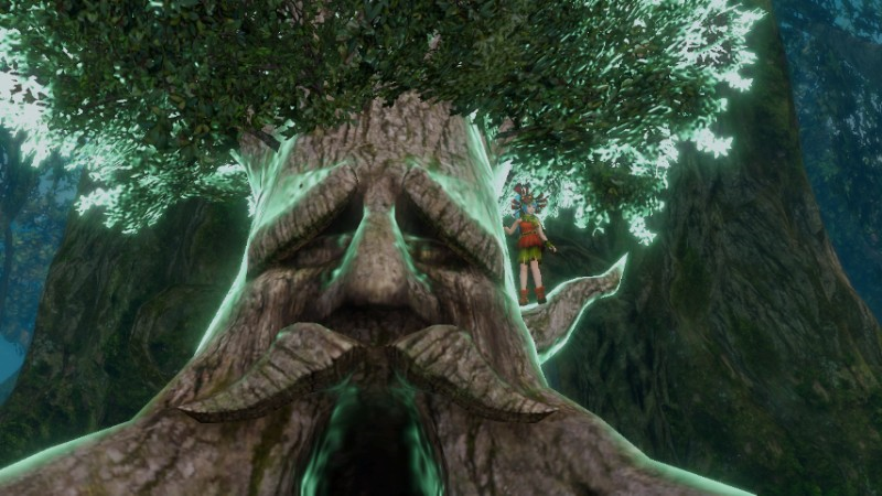 Great Deku Tree's Meadow, Zeldapedia
