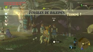 Fossiles de Baleines.