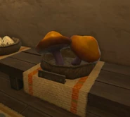 Two Endura Shrooms on display at East Wind in Hateno Village