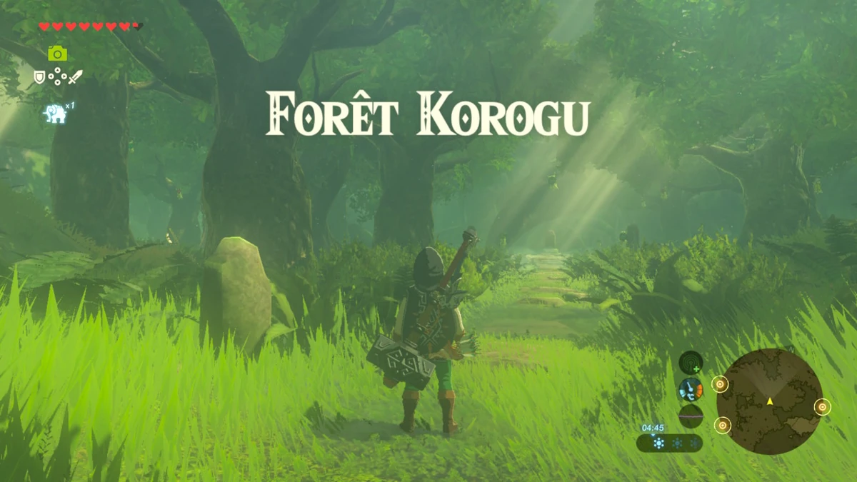 Zelda Breath Of The Wild Foret Korogu Forêt Korogu | ZeldaWiki | Fandom