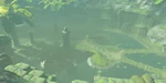BotW-Lago Drako