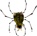 A Gold Skulltula