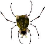 Gold Skulltula