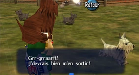 Chien assez confiant