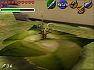 Planta de una judía mágica en Ocarina of Time.