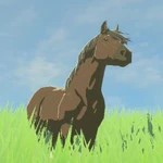 《塞爾達傳說：曠野之息》馬圖鑑圖片