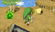 Link face aux restes de Kaji
