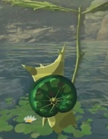 Kolog parecido a Olmo en Breath of the Wild.