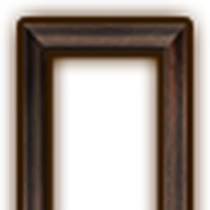 Picture Frame Zeldapedia Fandom This magical shield has a reflective surface that allows link to bend sunlight and bounce back certain magic or light based attacks. picture frame zeldapedia fandom