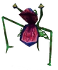 Plante mojo aquatique