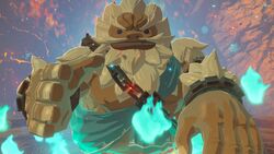 Darkel BOTW