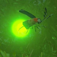 078（078） 078（078） 静静萤火虫