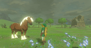 Breath of the Wild Horse Epona & Link (Ranch Ruins)