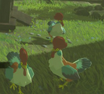 Cuccos (Breath of the Wild)