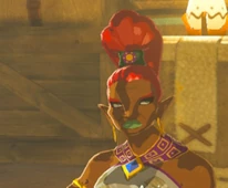 Araj BOTW