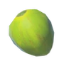 Noix de Coco BOTW