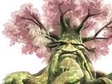 Arbre Mojo