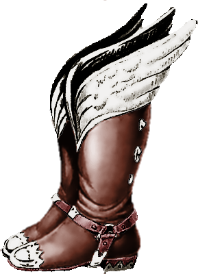 Pegasus Boots Zeldapedia Fandom