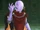 Armée de Ghirahim