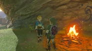 Fausse Zelda.