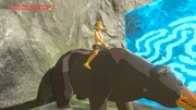 Link's riding Honeyvore Bear in his underwear