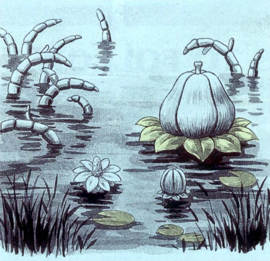 Goponga Flower Zeldapedia Fandom