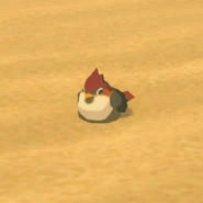 034（034） 034（034） 沙雀